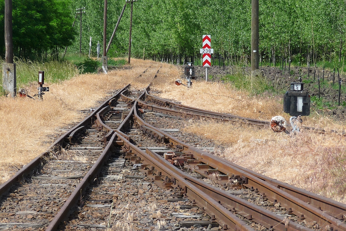 Nördliche Bahnhofseinfahrt nach Herminatanya der 2009 stillgelegten Schmalspurstrecke von Nyiregyhaza nach Dombrad und Balsa, 29. ‎Mai ‎2016 

Die erste Weiche führte ins Gleisdreieck bzw. direkt nach Dombrad.