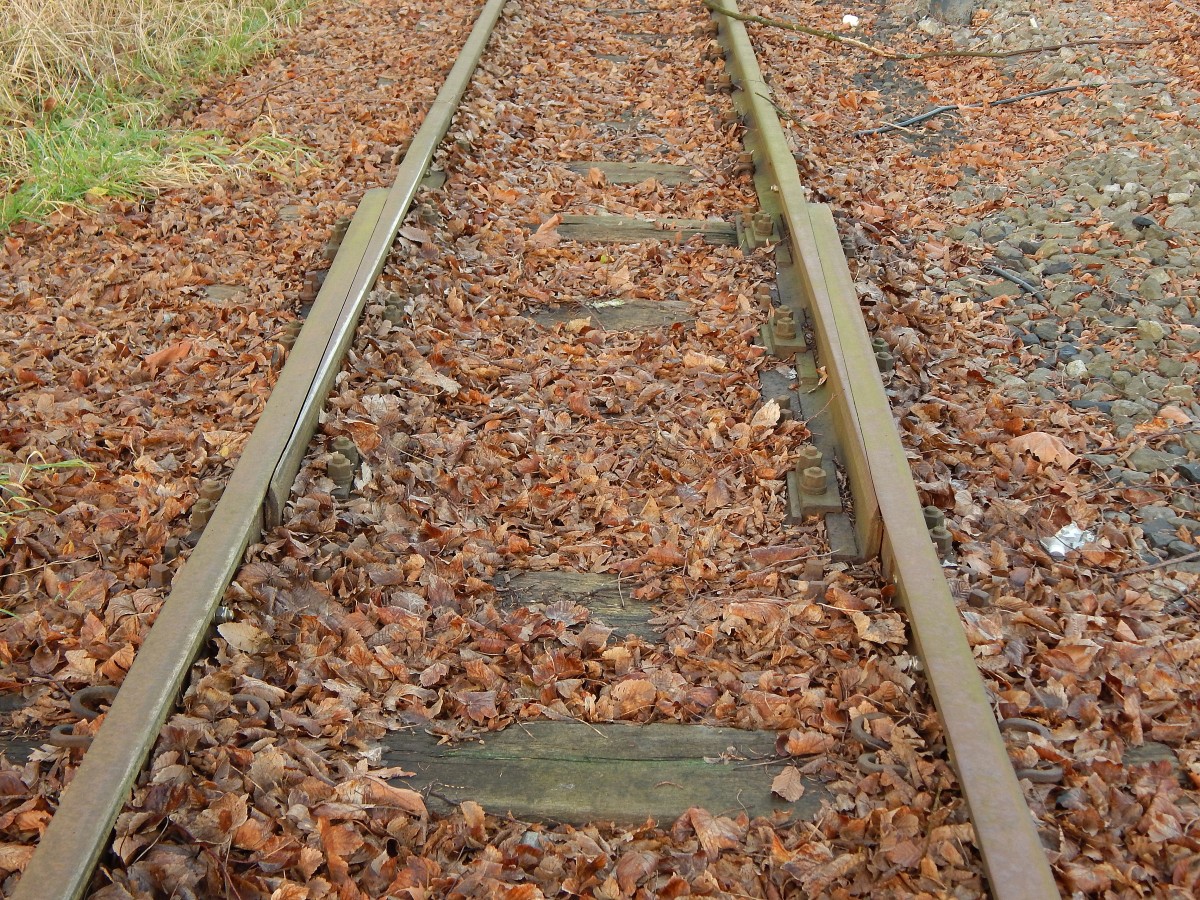 Normalerweise nur auf Brücken zu finden. Auf dem stillgelegten Abschnitt Mülheim Flughafen - Hauptfriedhof fand ich diese  Schienenauszugsvorrichtungen (Dilatationsstoß).

Mülheim 28.12.2015