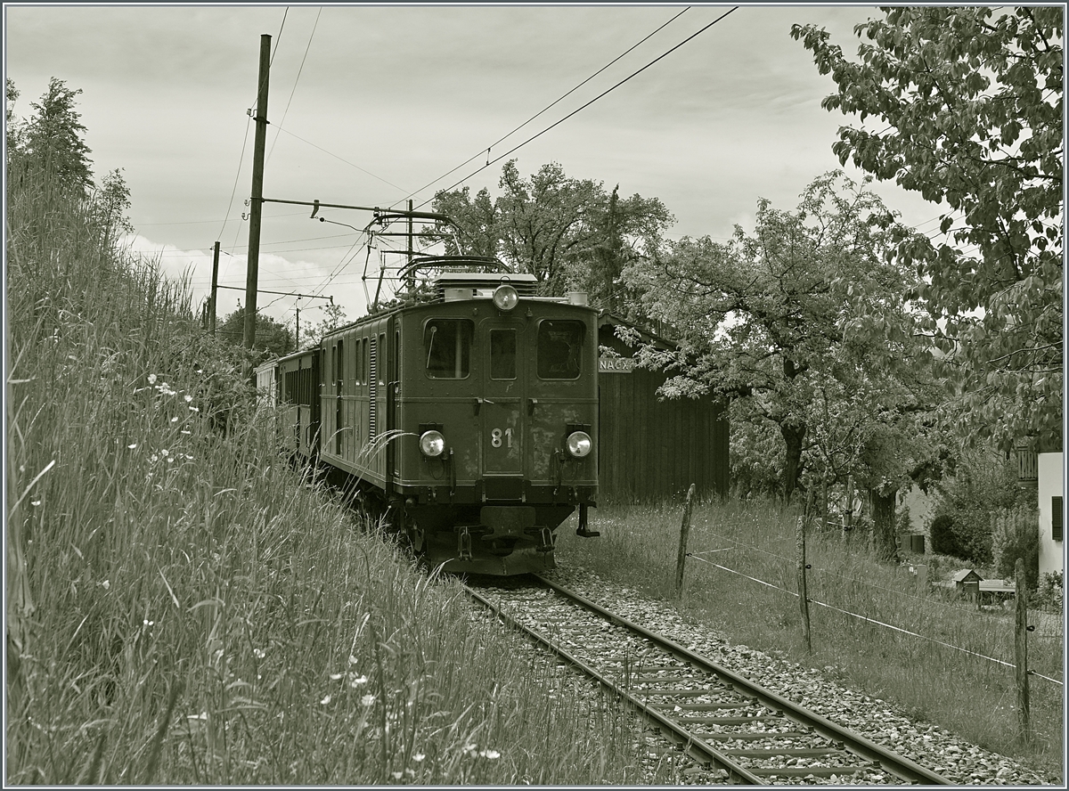  Nostalgie & Vapeur 2021  /  Nostalgie & Dampf 2021  - so das Thema des diesjährigen Pfingstfestivals der Blonay-Chamby Bahn; im Bild die RhB Bernina Bahn Ge 4/4 81 mit einem Personenzug von Chaulin nach Blonay bei Cornaux. 

22. Mai 2021