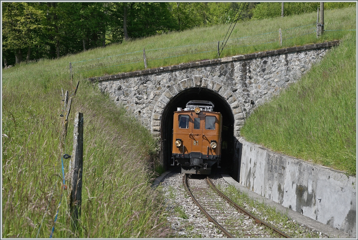  Nostalgie & Vapeur 2021  /  Nostalgie & Dampf 2021  - so das Thema des diesjährigen Pfingstfestivals der Blonay-Chamby Bahn.
Die Bernina Bahn RhB Ge 4/4 81 der Blonay-Chamby Bahn verlässt den kurzen Tunnel, welcher die Strecke von der Baye de Clarnes kommend wieder auf die aussichtsreiche Seite der Riviera Vaudoise führt. 

23. Mai 2021