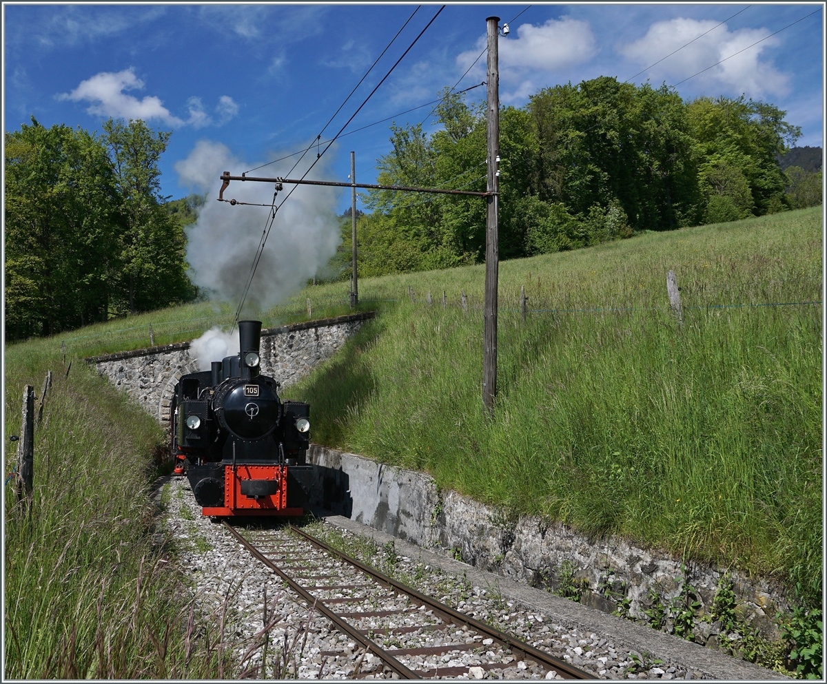  Nostalgie & Vapeur 2021  /  Nostalgie & Dampf 2021  - so das Thema des diesjährigen Pfingstfestivals der Blonay-Chamby Bahn. Die G 2x 2/2 105 verlässt den kurzen Tunnel, welcher die Strecke von der Baye de Clarnes kommend wieder auf die aussichtsreiche Seite der Riviera Vaudoise führt.

23. Mai 2021