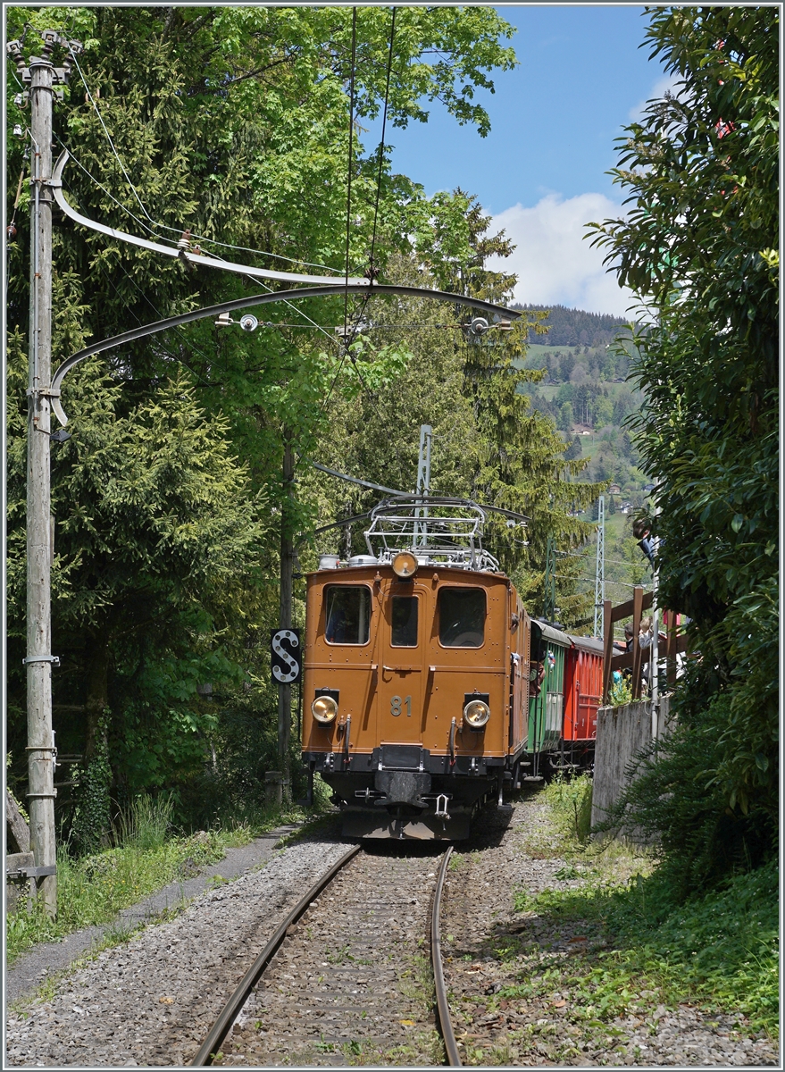  Nostalgie & Vapeur 2021  /  Nostalgie & Dampf 2021  - so das Thema des diesjährigen Pfingstfestivals der Blonay-Chamby Bahn. Noch einmal die von mir wegfahrenden Bernina Bahn RhB Ge 4/4 81 der Blonay-Chamby Bahn, mit einem beschränkten Blick auf ihren bunten Zug. 

(ein wiedereingestelles Bild)

22. Mai 2021