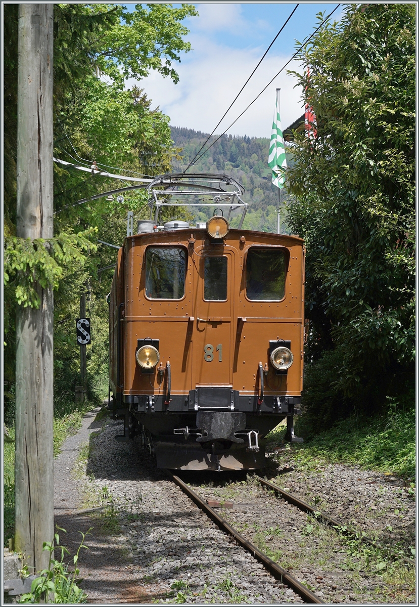 Nostalgie & Vapeur 2021  /  Nostalgie & Dampf 2021  - so das Thema des diesjährigen Pfingstfestivals der Blonay-Chamby Bahn. Das Foto entstand nicht so wie das Bild auf den ersten Blick wirkt: die Bernina Bahn RhB Ge 4/4 81 der Blonay-Chamby Bahn schiebt ihren Zug ins Museum, fährt also nicht auf mich zu, sondern von mir weg. Ich nutzte den Umstand, dass für diese Fahrt von Chamby nach Chaulin die schiebende Lok das Dreispitzensignal jeweils beibehält und im Museumsbereich das betreten der Geleise möglich ist. 
(ein wiedereingestelles Bild)

22. Mai 2021