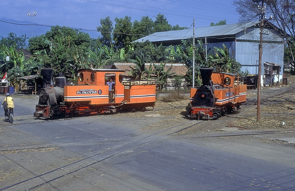 Nr. 1 + Nr. 5  Pagottan  19.08.95