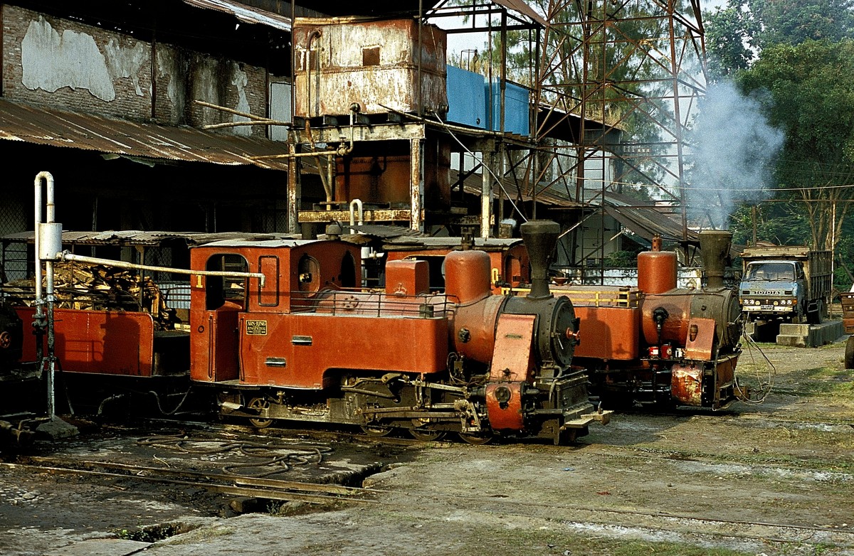 Nr. 1 + Nr.10   Pangka  05.08.04