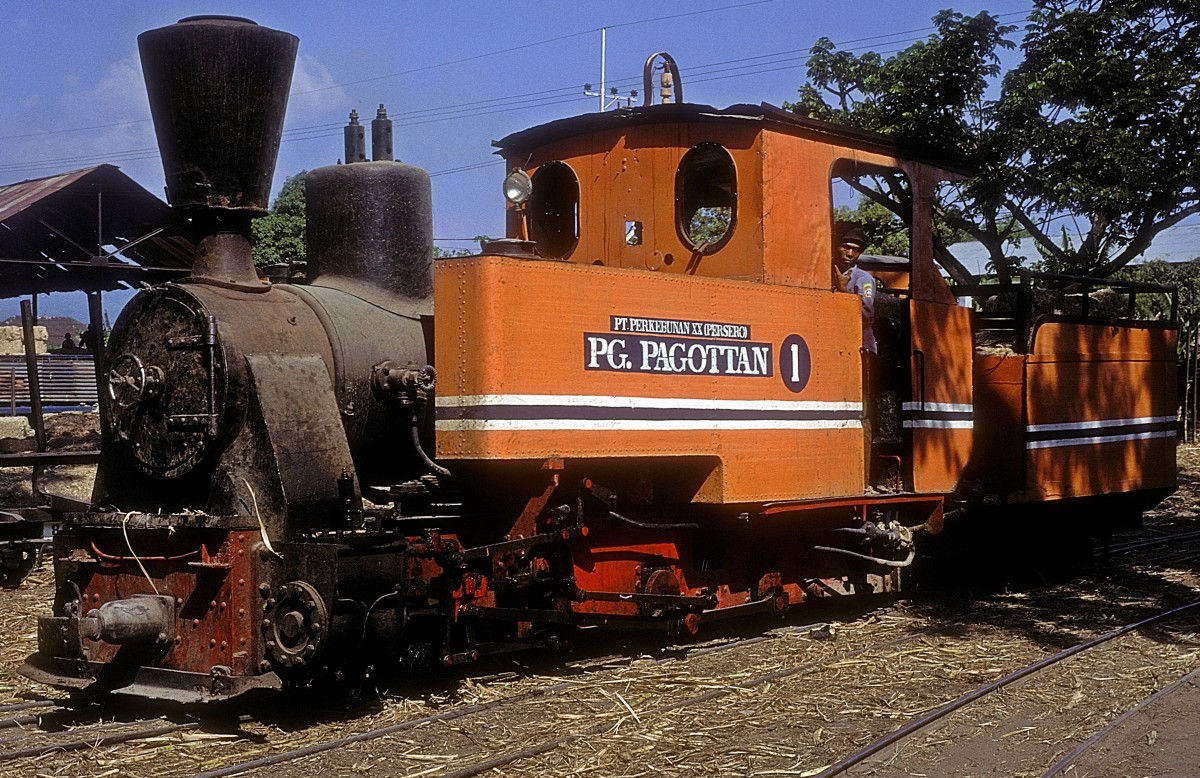 Nr. 1  Pagottan  19.08.95