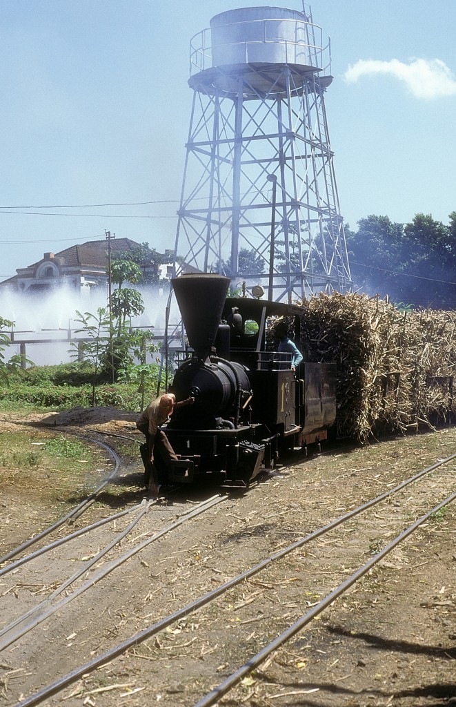   Nr. 1  Pakis Baru  15.08.95