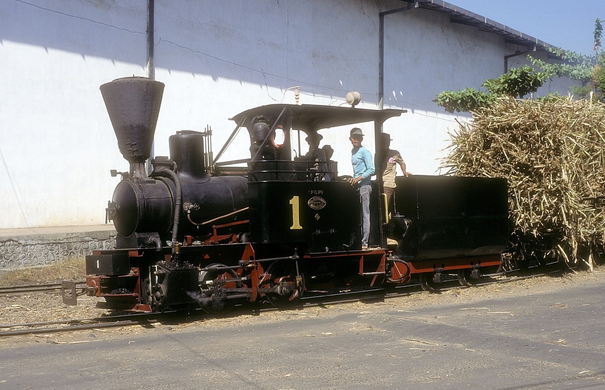  Nr. 1  Pakis Baru  15.08.95