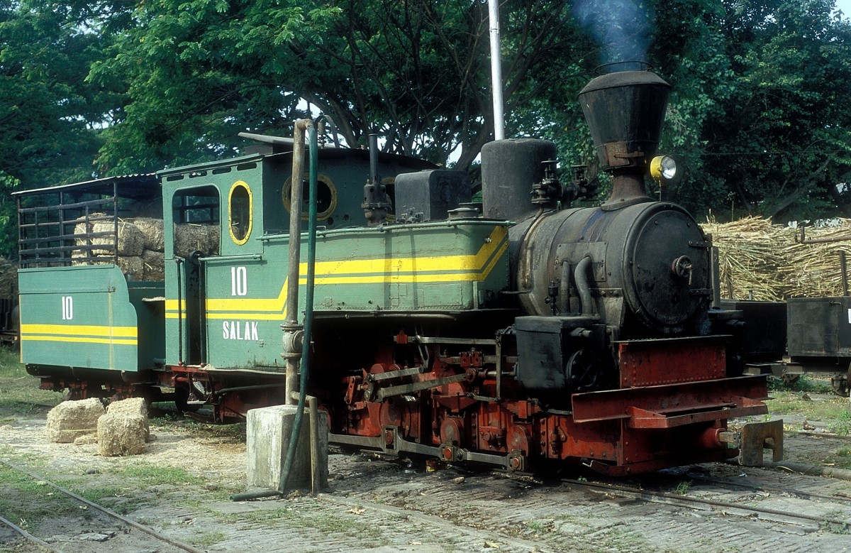  Nr. 10  Rejosari  11.08.04