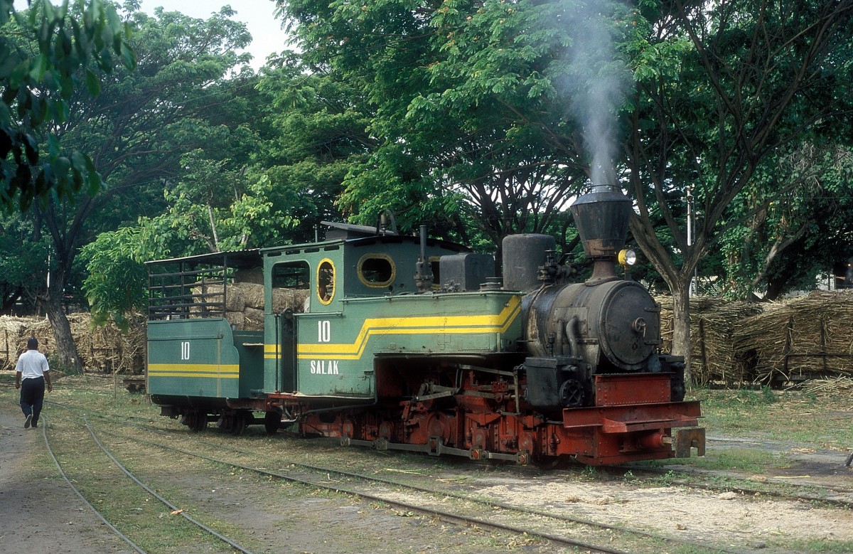  Nr. 10  Rejosari  11.08.04