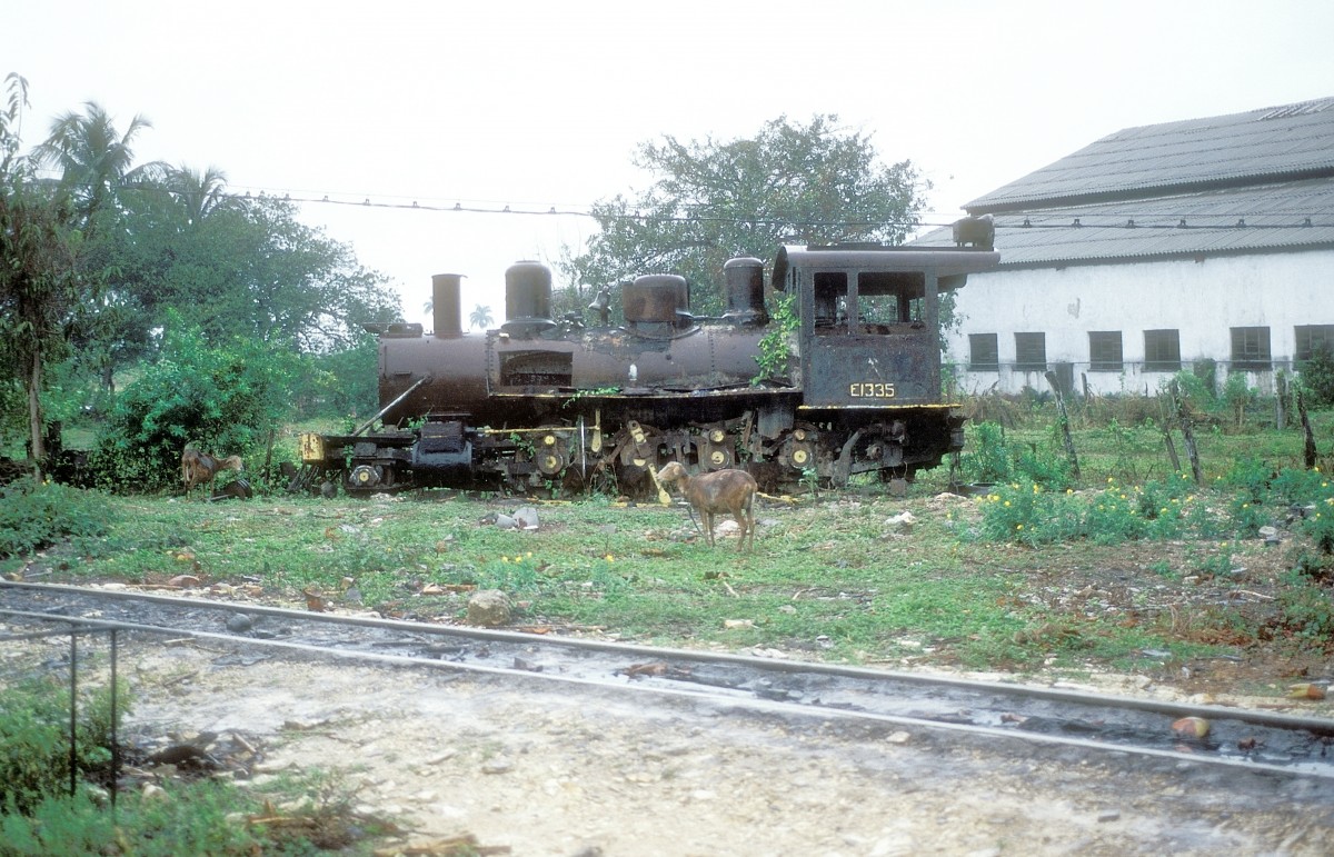 Nr. 1335  Obdullo Morales  10.03.96