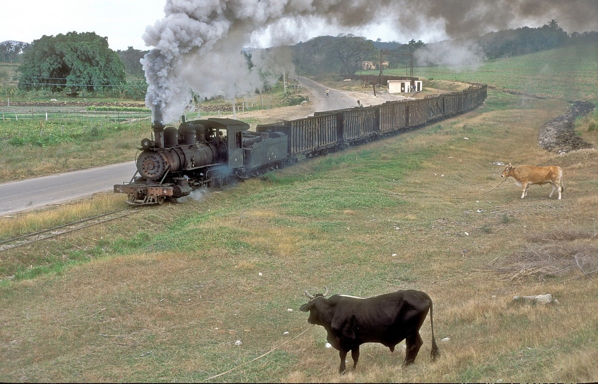 Nr. 1337  Pepito Try  12.03.96