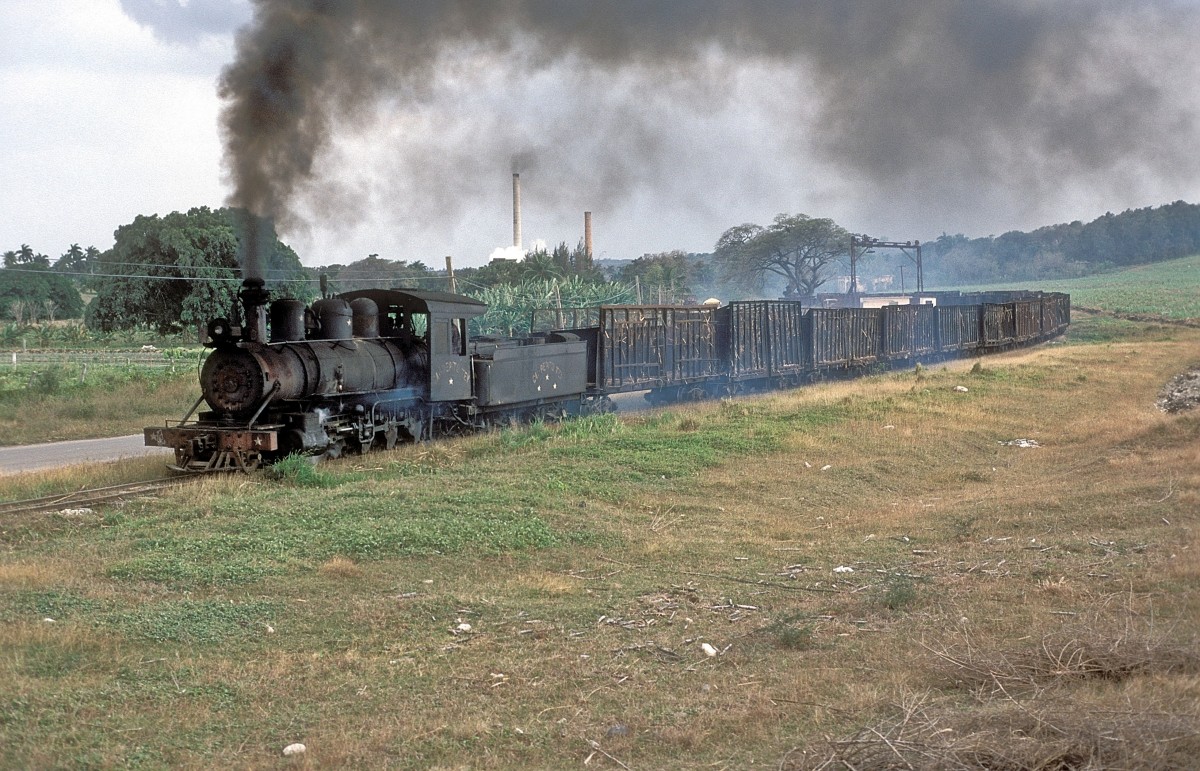 Nr. 1337  Pepito Try  12.03.96