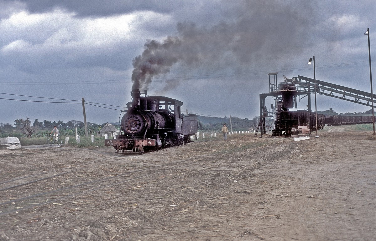 Nr. 1337  Pepito Try  12.03.96