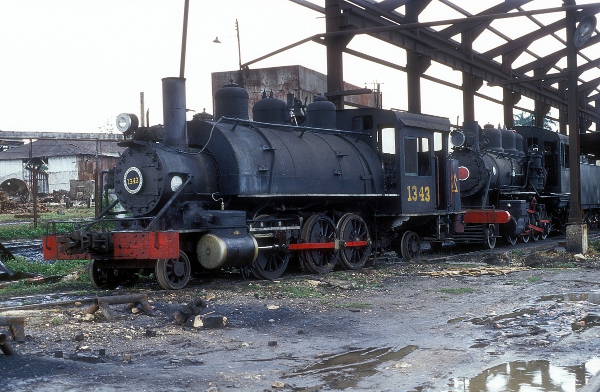 Nr. 1343  Marcelo Salado  10.03.96