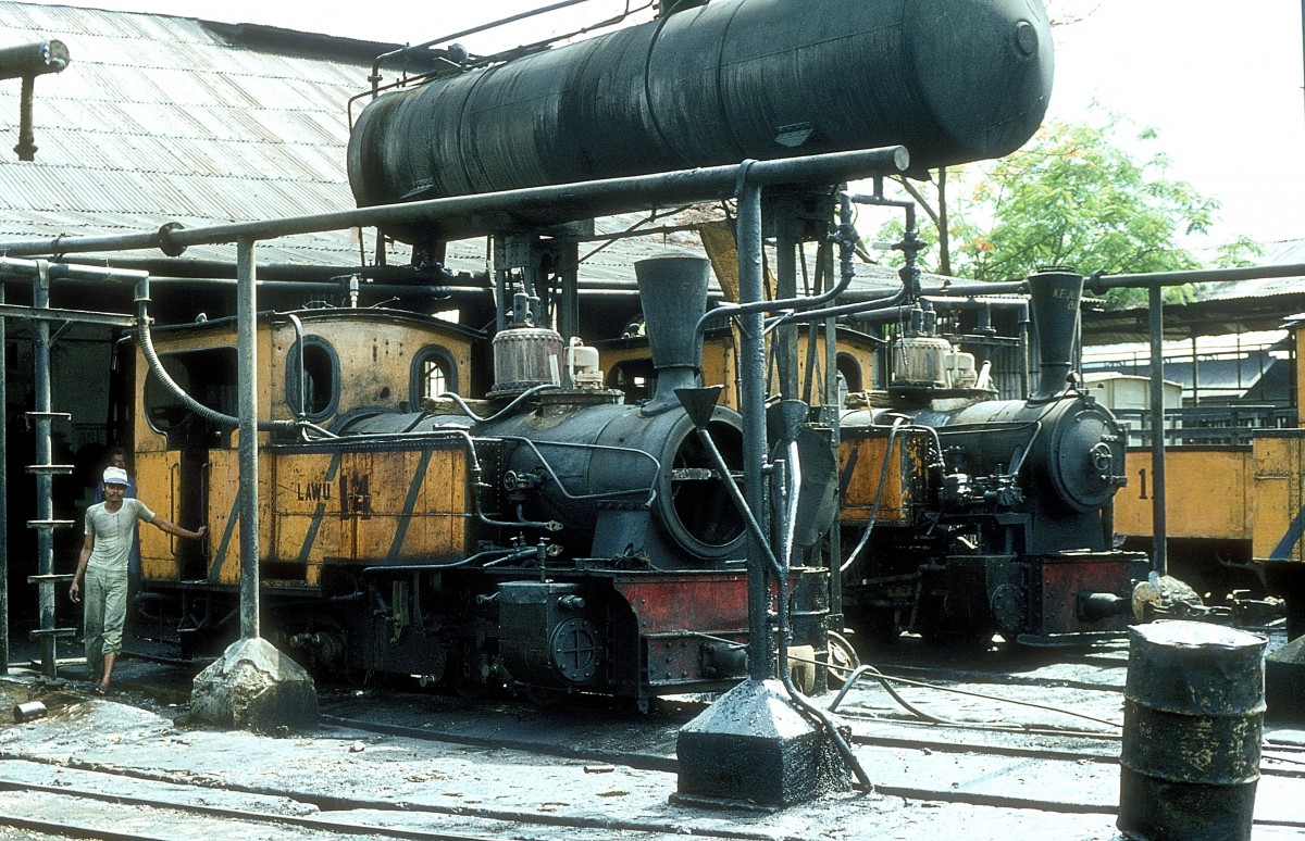  Nr. 14  Purwodadi  04.10.80