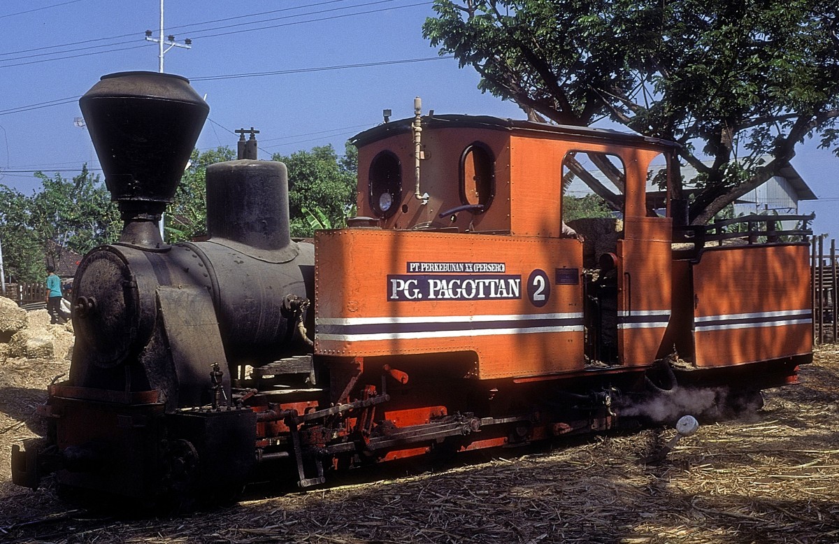 Nr. 2  Pagottan  19.08.95