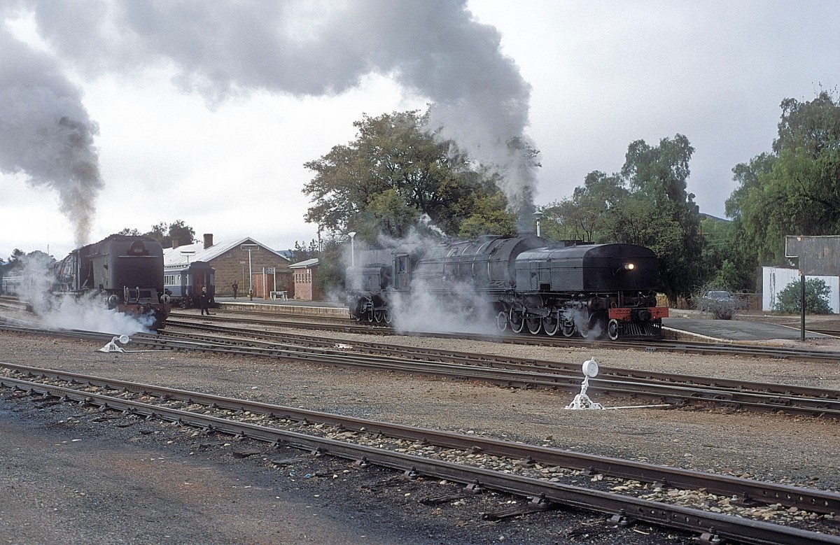 Nr. 2351 + 4122  Oudtshoorn  30.08.01