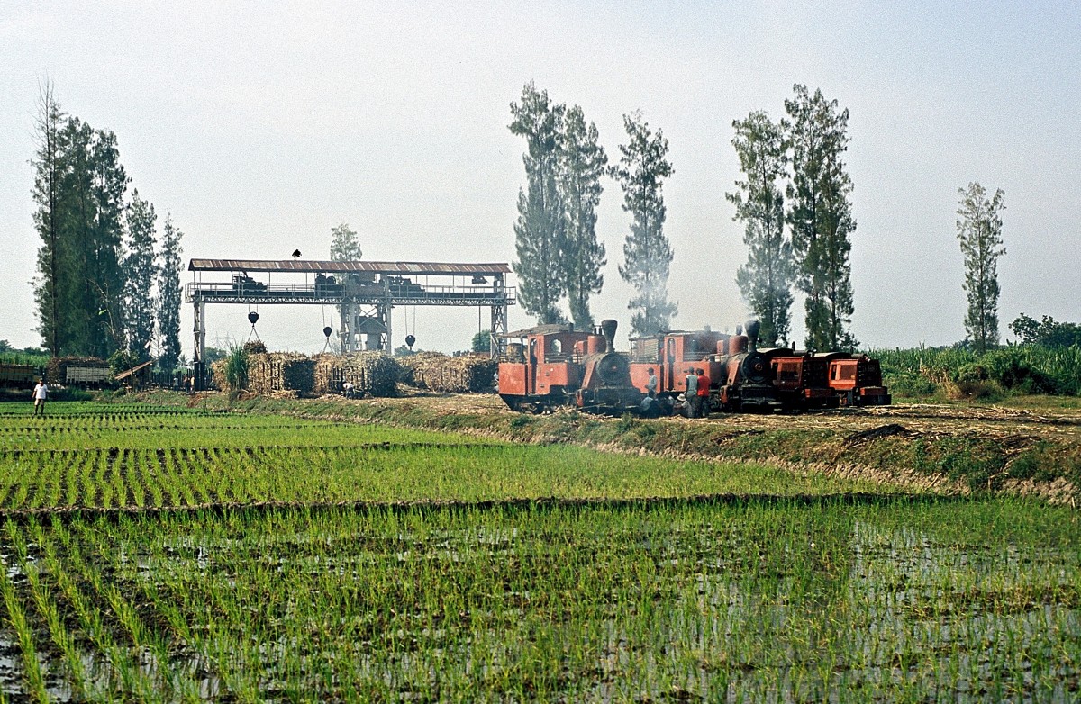 Nr. 3 + Nr. 2  Pangka  05.08.04