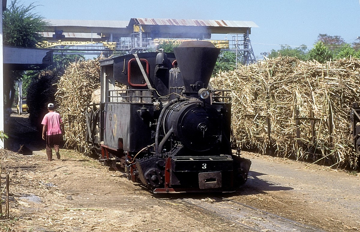  Nr. 3  Pakis Baru  15.08.95