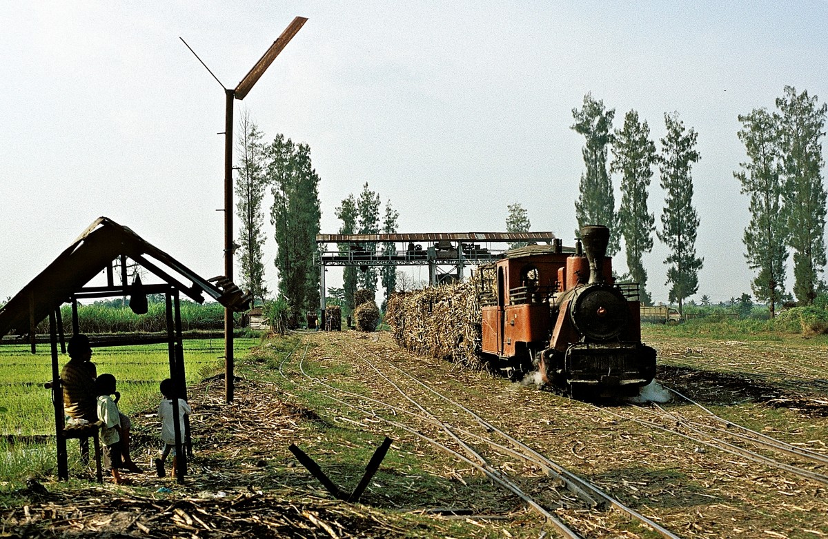 Nr. 3  Pangka  05.08.04