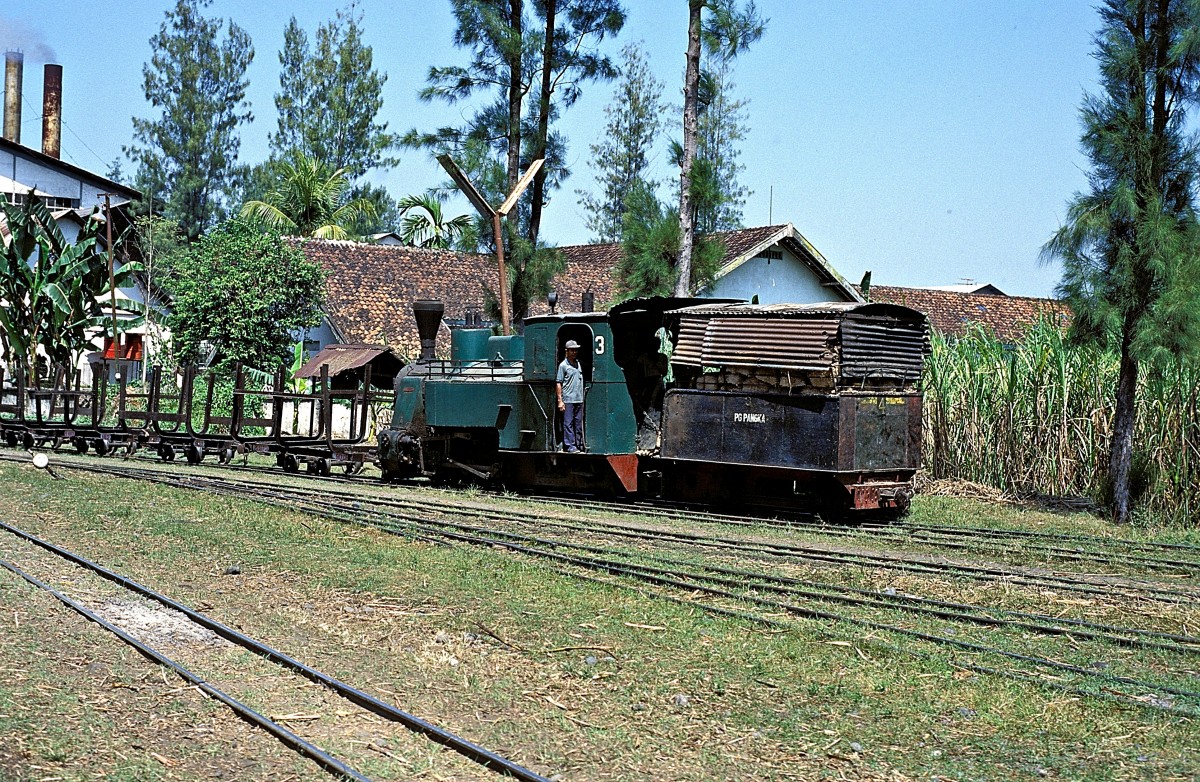 Nr. 3  Pangka  13.08.95