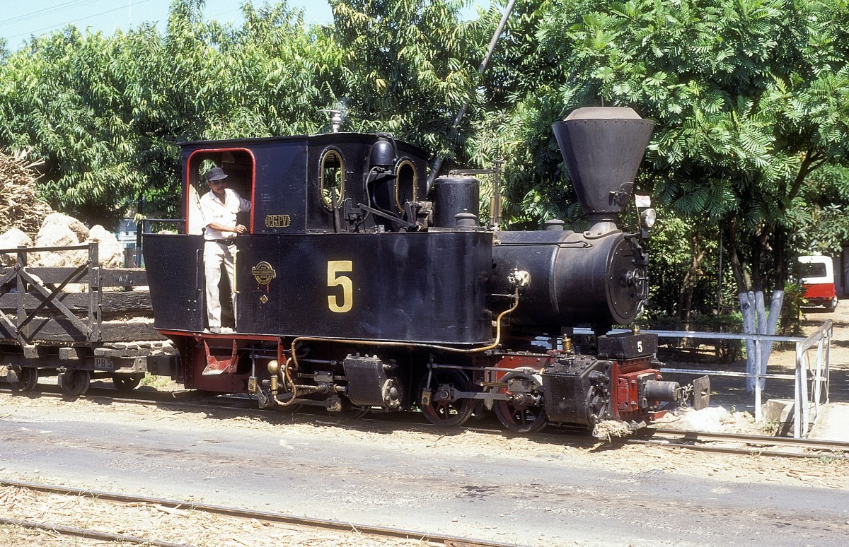  Nr. 5  Pakis Baru  15.08.95