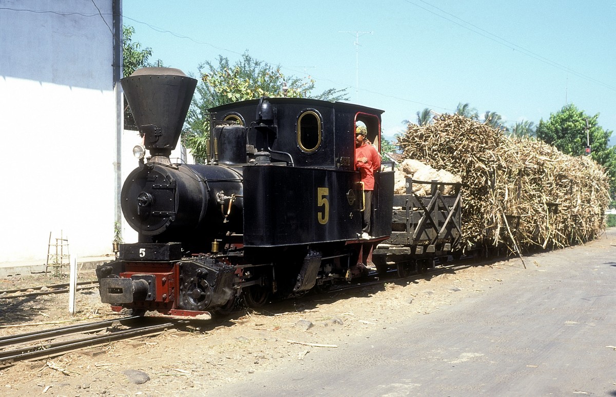  Nr. 5  Pakis Baru  15.08.95