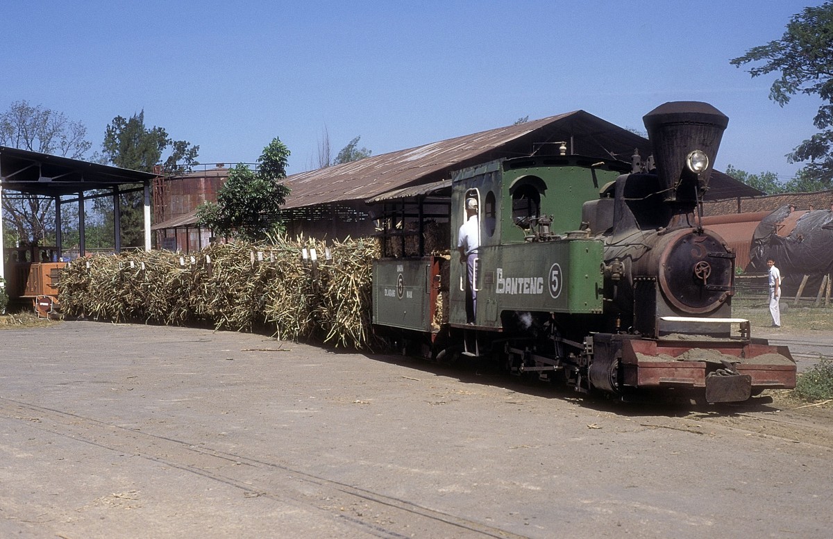 Nr. 5  Zuckerfabrik Jatiwangi  11.08.95