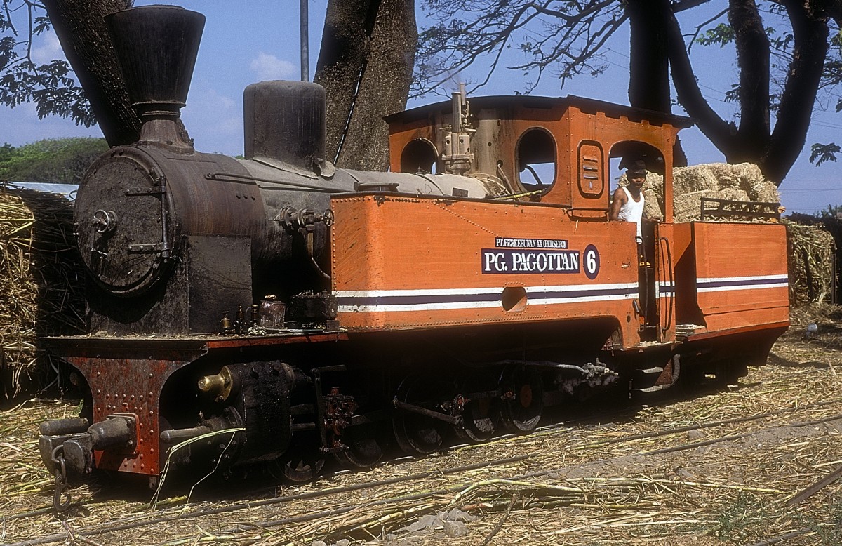 Nr. 6  Pagottan  19.08.95