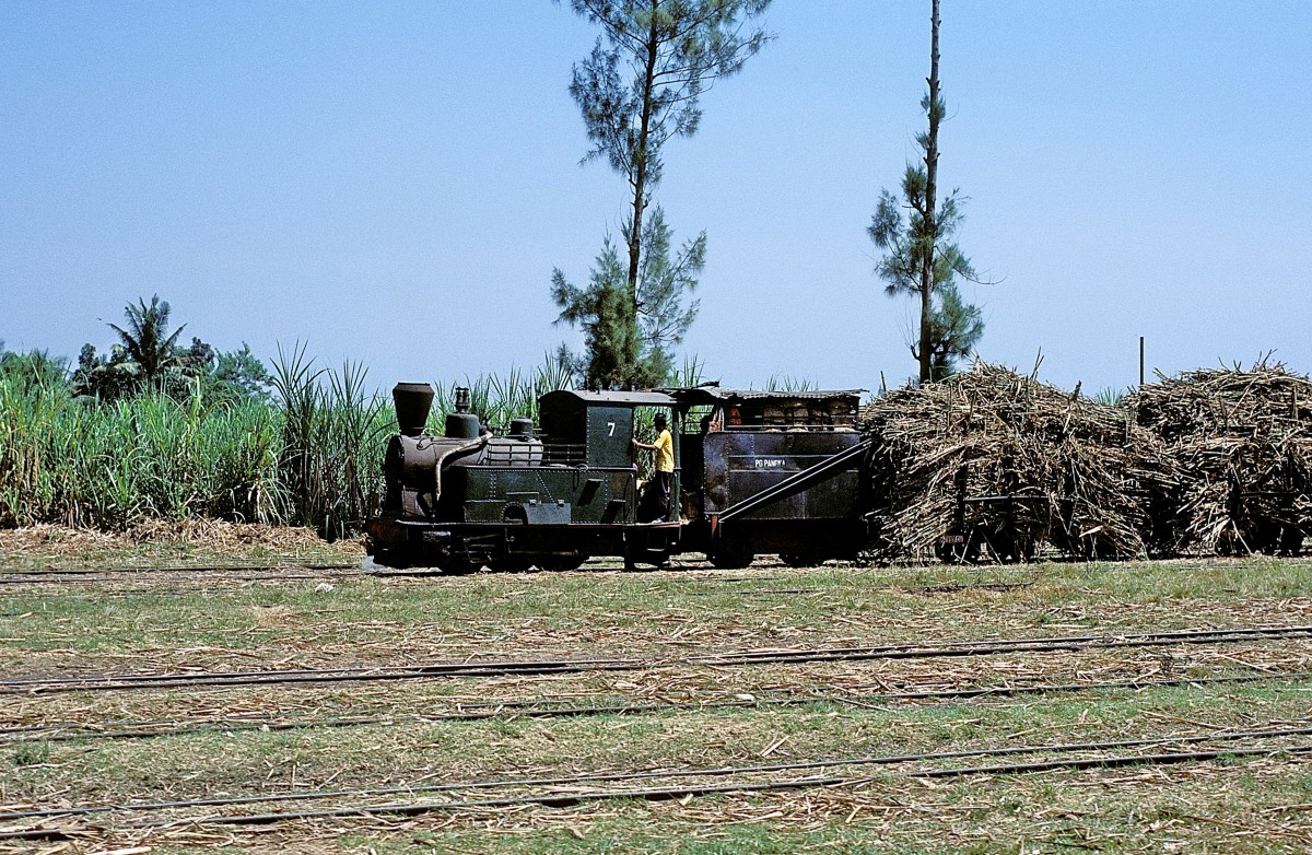 Nr. 7  Pangka  13.08.95