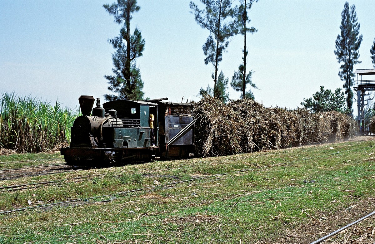 Nr. 7  Pangka  13.08.95