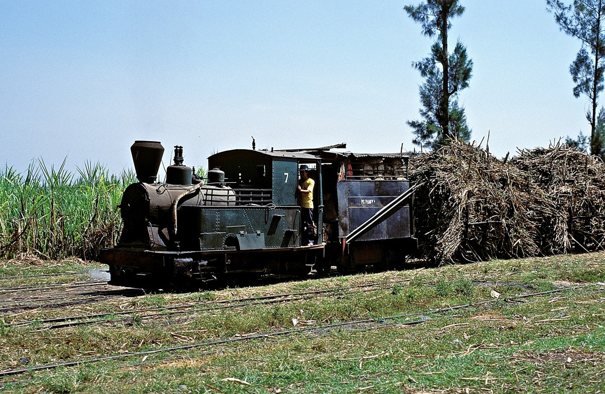 Nr. 7  Pangka  13.08.95