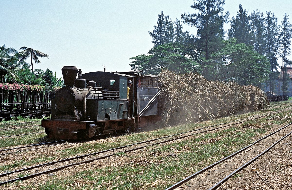 Nr. 7  Pangka  13.08.95