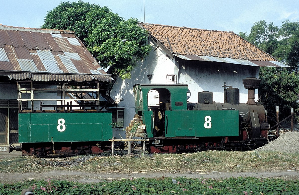 Nr. 8  Sindanglaut  04.08.04