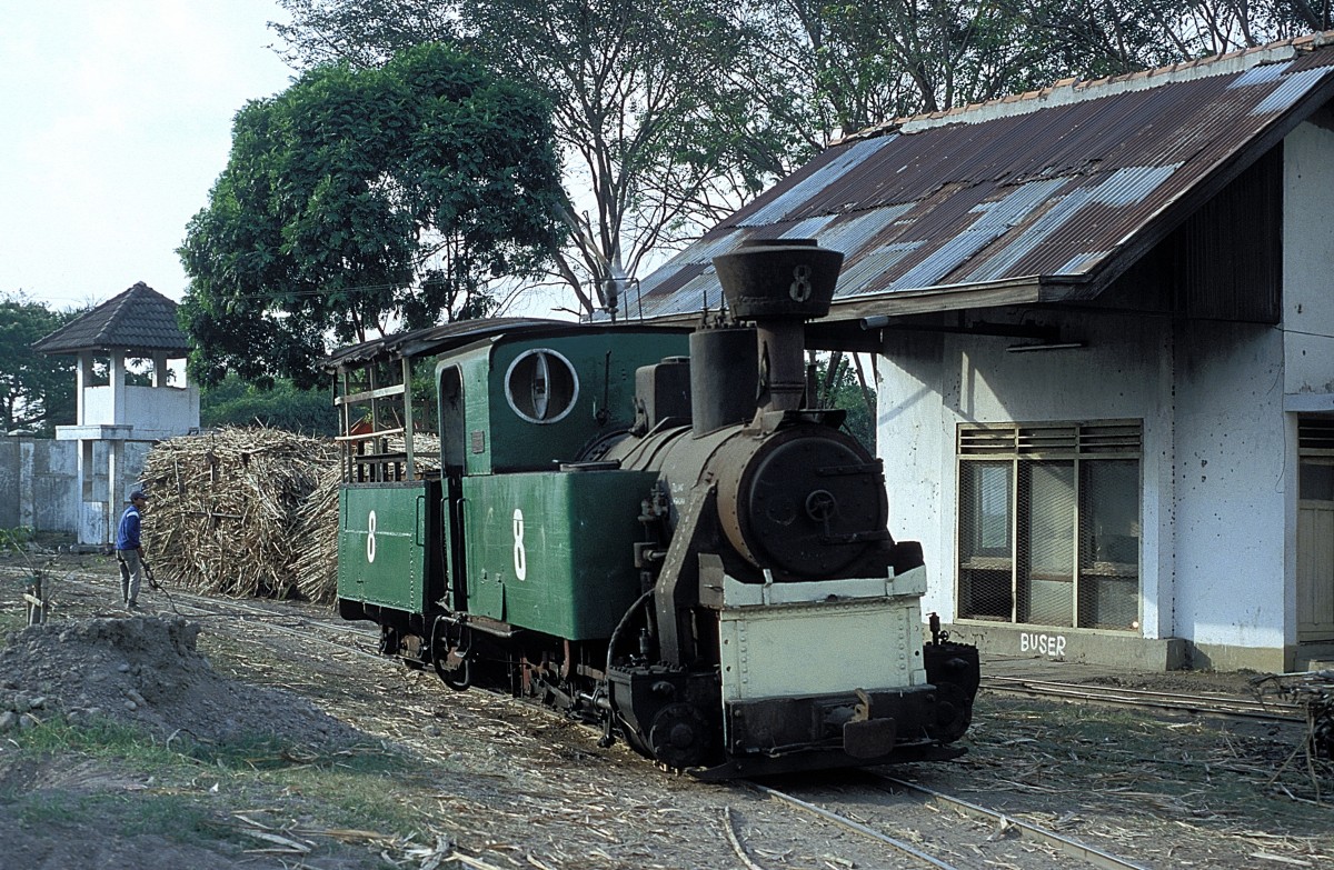 Nr. 8  Sindanglaut  04.08.04