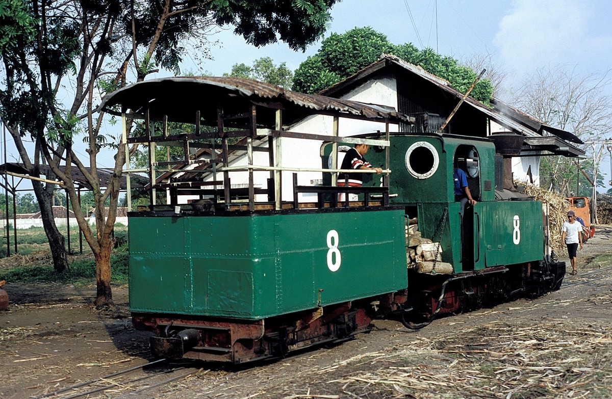 Nr. 8  Sindanglaut  04.08.04