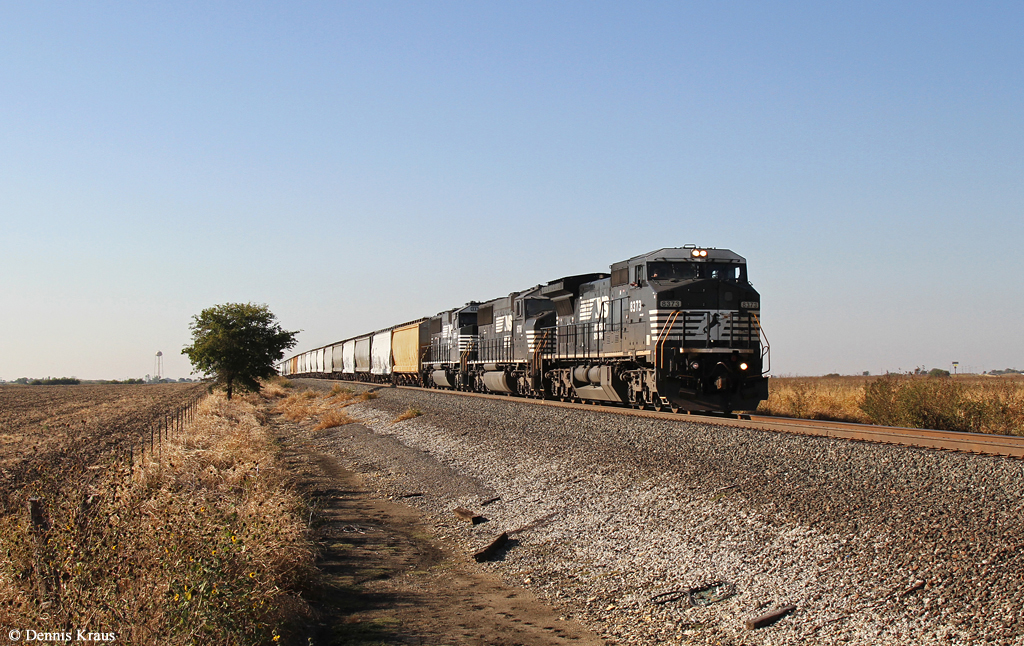 NS 8373 (GE C40-8W) + 6781 + 6978 mit Güterzug am 12.10.2015 bei Valley View, Texas.