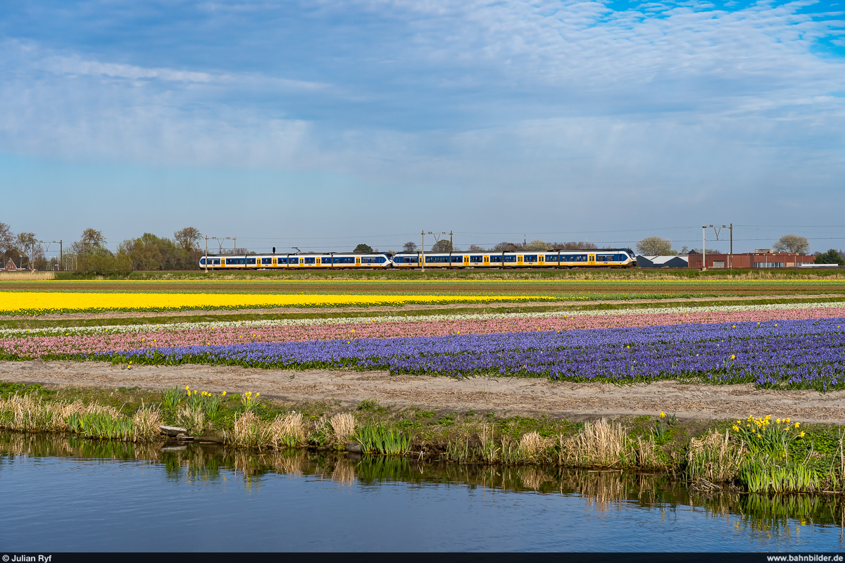 NS SLT / Hillegom, 14. April 2022<br>
Sprinter Den Haag Centraal - Haarlem