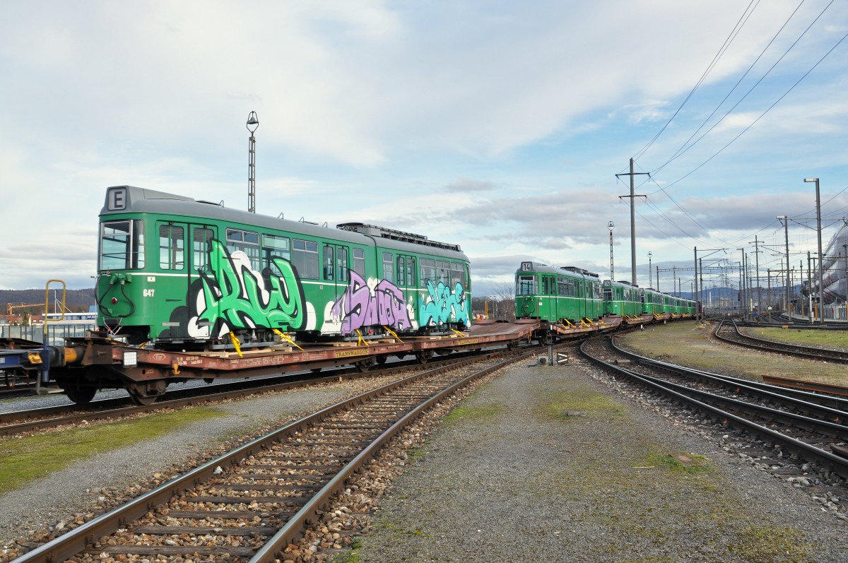 Nun gehen die letzten Düwag der BVB auf die lange Reise nach Belgrad. Auf der Aufnahme sehen wir die Be 4/6 647, 650, 646, 644, 639, 629 und 637. Die Aufnahme wurde von einem sicheren Punkt gemacht. Die Aufnahme stammt vom 02.02.2016.