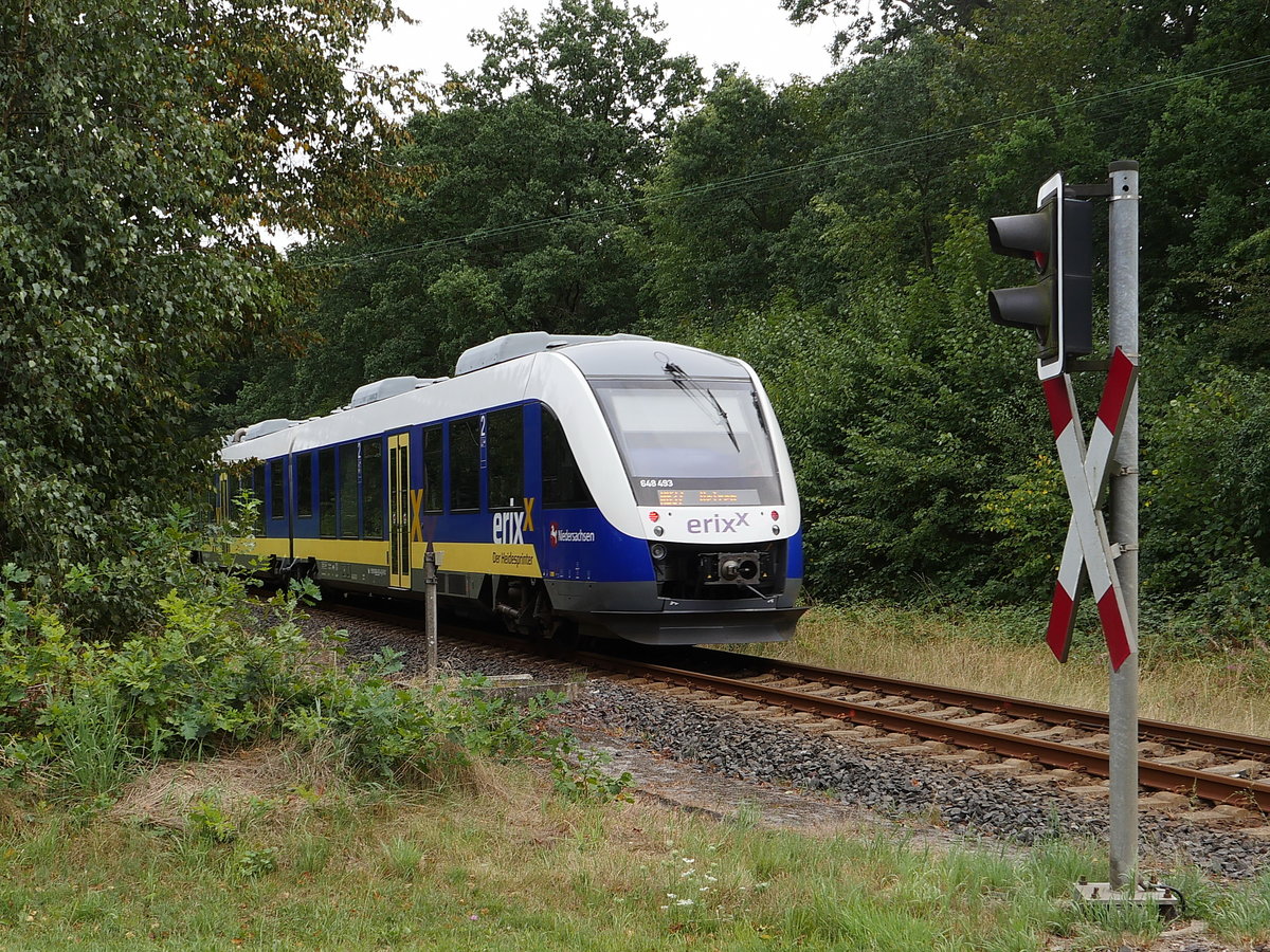 Nur am Bahnübergang taucht 648 493  Der Heidesprinter  als erx RB 37 (83993) Soltau - Uelzen kurz aus dem Gebüsch auf um danach wieder im Dickicht zu verschwinden; hinter Bahnhof Brockhöfe in Richtung Ebstorf, 27.08.2020
