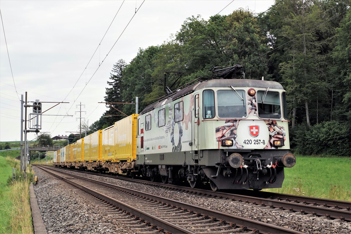 Nur noch vereinzelte BOBOS mit Werbeanstrich unterwegs!
Postzug mit Re 420 257-8 bei Niederbipp am 12. Juli 2021.
Foto: Walter Ruetsch