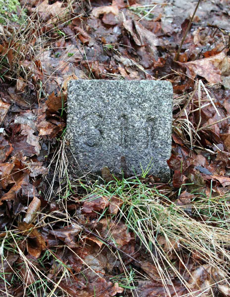 Nur noch wenige Hinweise gibt es auf die ehemalige KBS 164h Nossen-Wilsdruff-Freital
Potschappel. Hier bei Niederreinsberg ein typischer Kilometerstein 31,1 02.02.2019 13:55 Uhr.