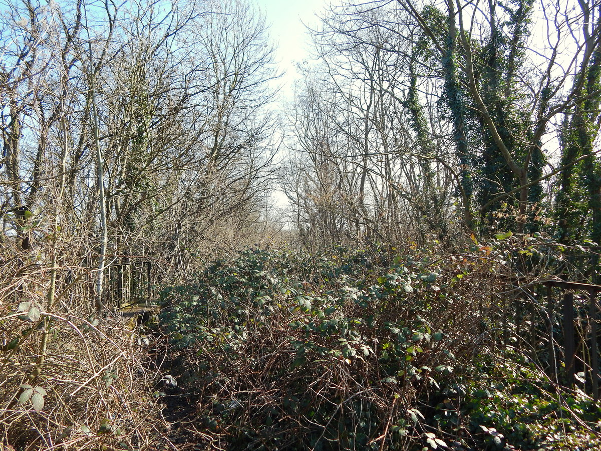 Nur schwer ist die Bahntrasse der ehemaligen Bergheimer Kreisbahn nach Mödrath zu erkennen. Einzig die Brücken sind teilweise noch erhalten geblieben. Die Gleise und Signale wurden vollständig abgebaut.  Seit dem 1. Oktober 1978 ist die Strecke stillgelegt.

Horrem 26.03.2016