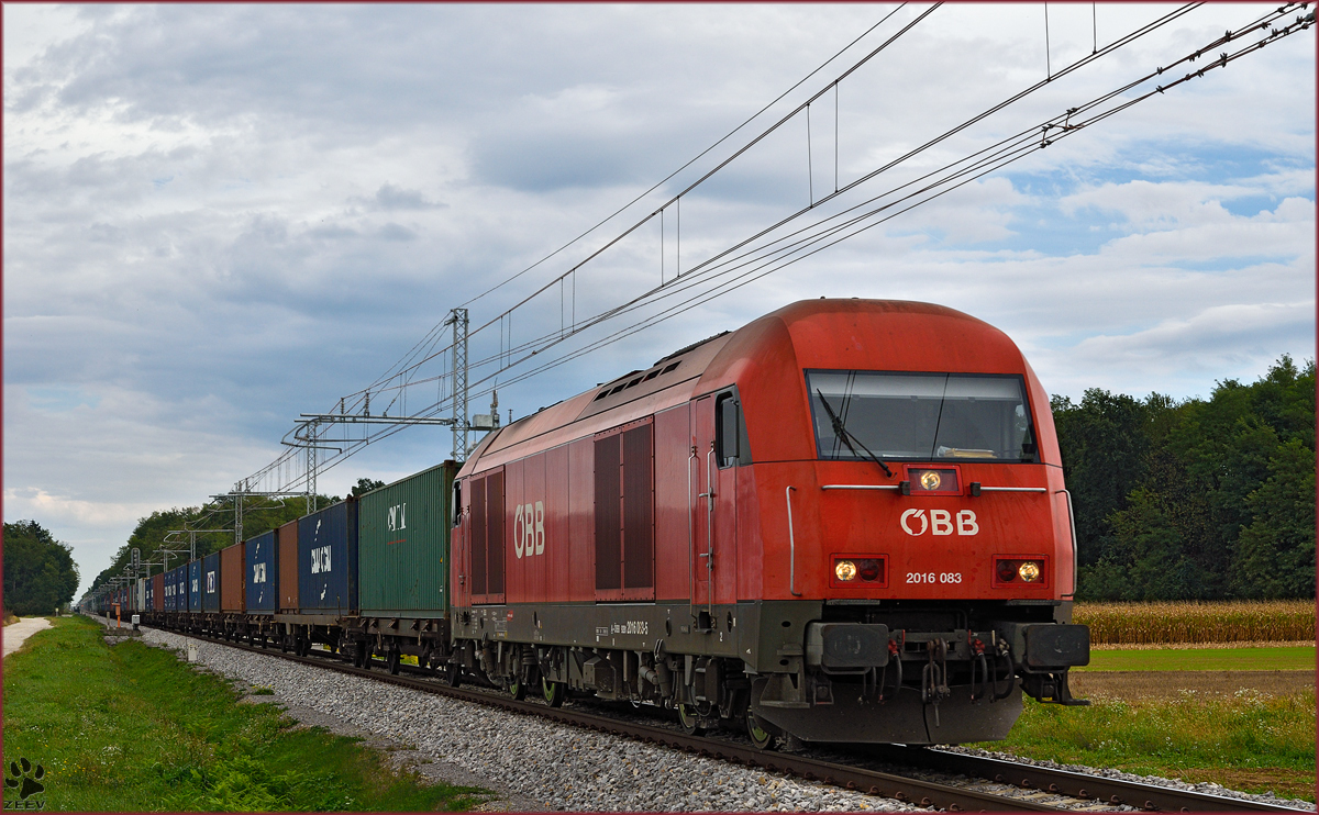 OBB/RCA 2016 083 zieht Containerzug durch Cirkovce-Polje Richtung Koper Hafen. /23.9.2015