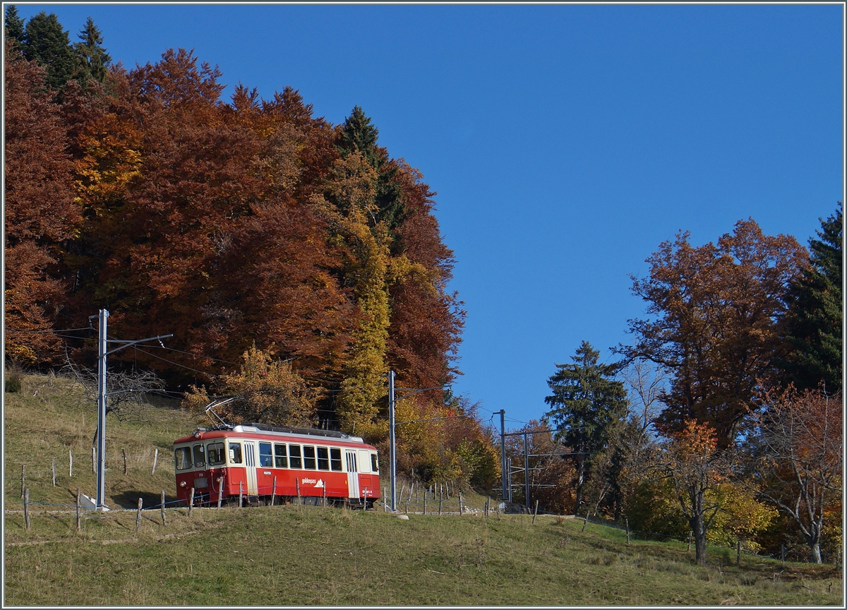 Oberhalb von Fayaux ist der CEV MVR BDeh 2/4 N° 74 unterwegs. 

27. Oktober 2015