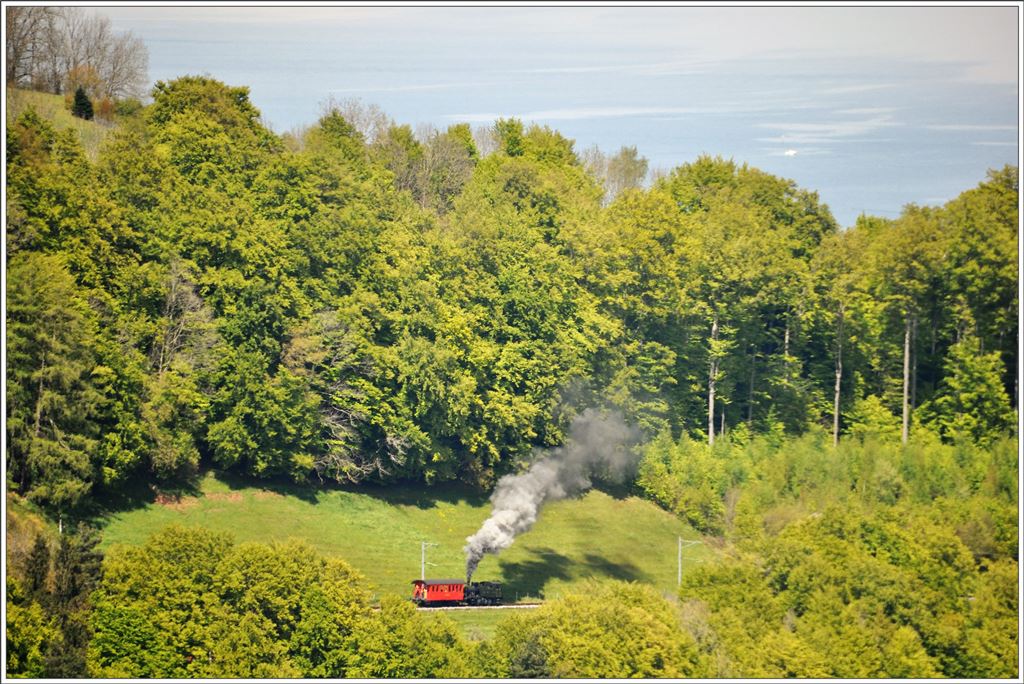 Oberhalb von Wienacht-Tobel stampft die Rosa nach der Kreuzung mit dem Regelzug bergwärts. (28.04.2016)