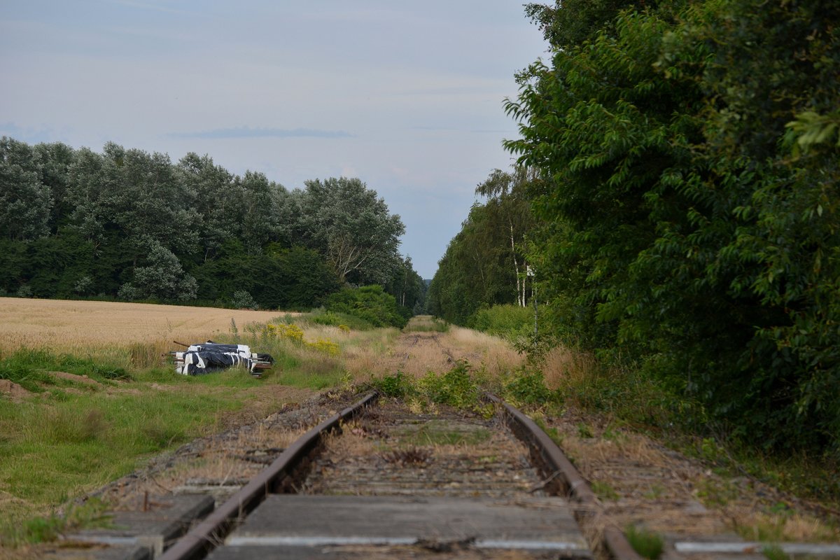 Obwohl hier schon seit Jahren nix mehr rollt wächst hier nichts zu. Halten die Niederländer die Strecke vielleicht frei für den Fall das sie doch nochmal reaktiviert wird!? Blick Richtung Dalheim

Roermond 10.07.2016