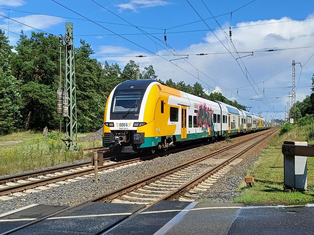 ODEG 3462 124-3 auf Überführungsfahrt Richtung Berlin, am 08.08.2023 in Eberswalde. Standort ist der BÜ am Zoo.