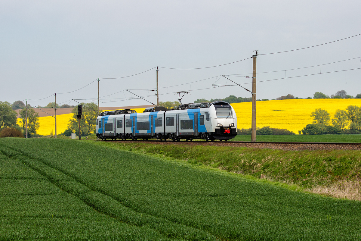 ODEG Triebwagen 4746 304 auf der Fahrt von Sassnitz nach Stralsund zwischen Korn-und Rapsfeld. - 09.05.2020
